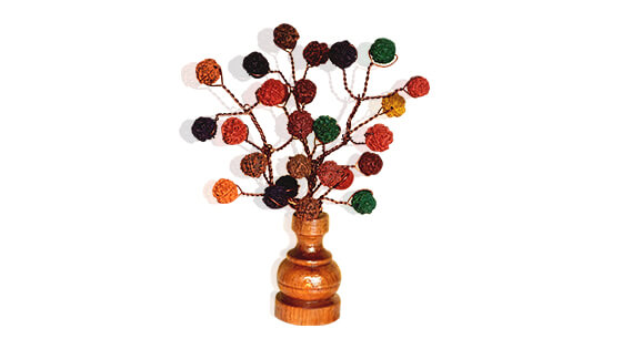Rudraksha Tree (27 Beads Multicolor)
