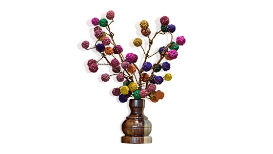 Rudraksha Tree (54 Beads Multicolor)