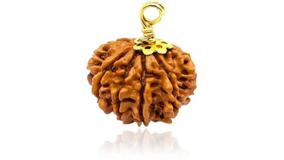 Aath Mukhi/Eight-Faced Rudraksha - Lab Certified (Without Mala)