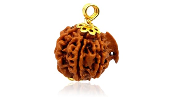 Ganesh Mukhi Rudraksha - Lab Certified (Without Mala)