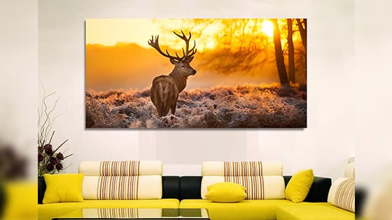 Stag Forest Sunset Sunrise Deer Canvas Wall painting (WP_0220N)