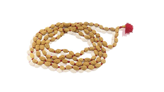 Teen Mukhi Rudraksha Mala (108 Beads)