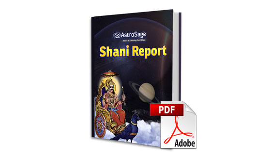 Shani Report